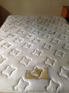 Steam Cleaning of Bed